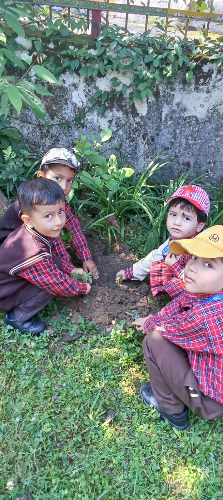 world environment day 2025